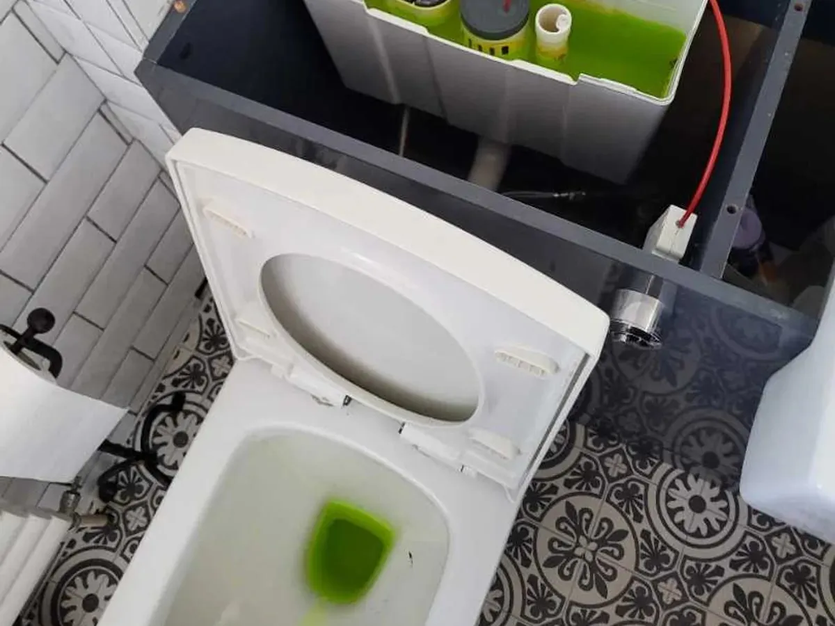 Green test dye in an open toilet cistern and pan during bathroom waste checks