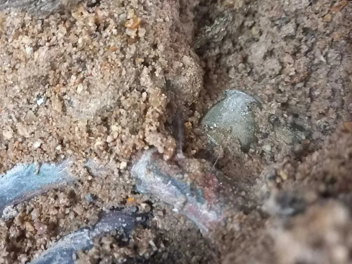 Close-up of a copper pipe bend exposed in damp floor screed